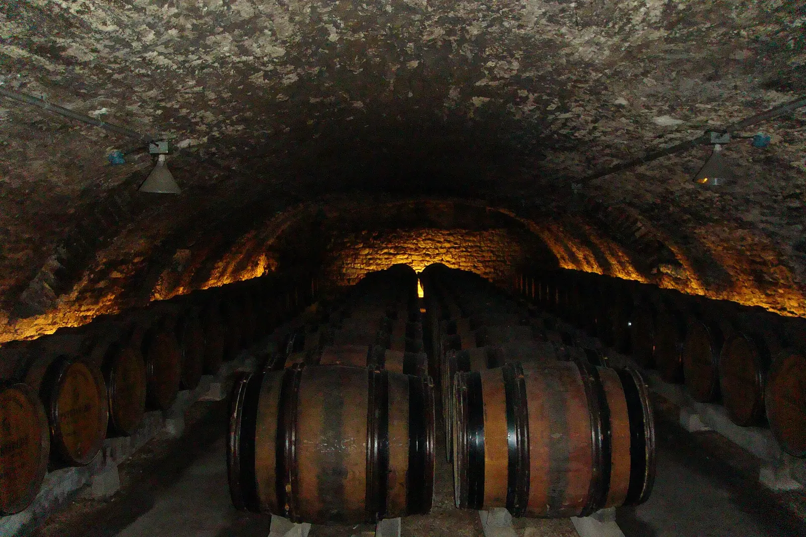 La cave voûtée et ses casiers de bouteilles