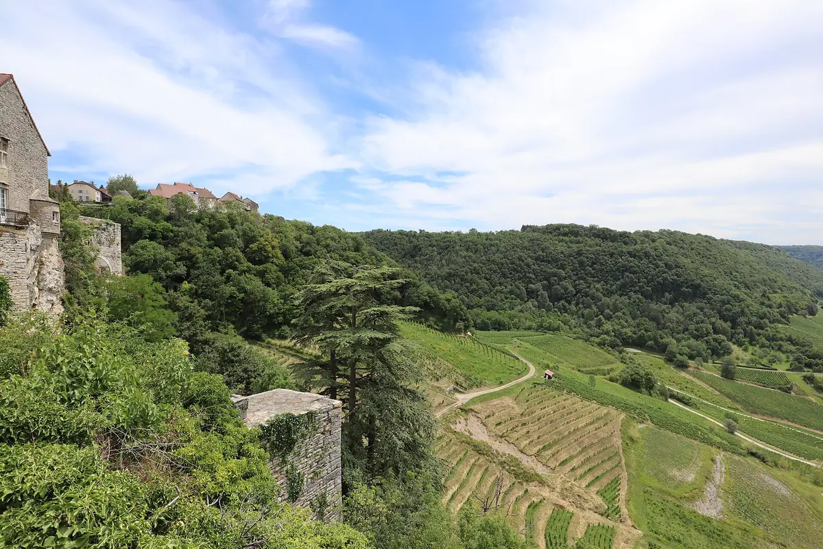Les vignes du domaine au soir, le village au fond