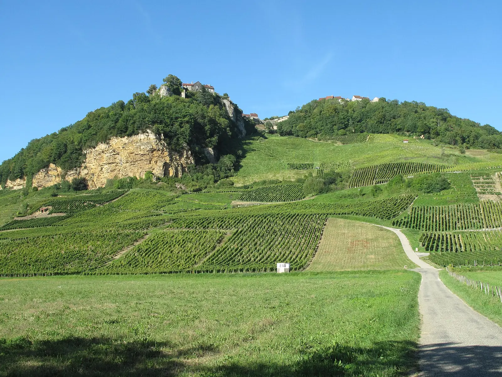 La falaise de Château-Chalon au-dessus des vignes