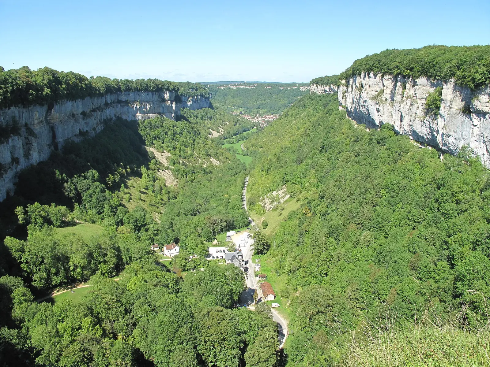 Les vignes face à la montagne